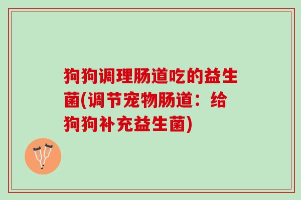 狗狗调理肠道吃的益生菌(调节宠物肠道：给狗狗补充益生菌)