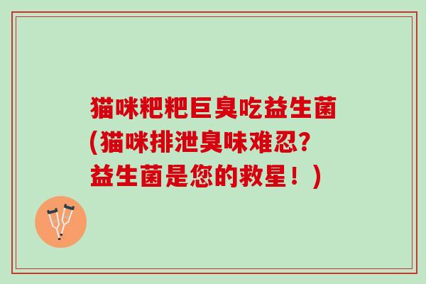 猫咪粑粑巨臭吃益生菌(猫咪排泄臭味难忍？益生菌是您的救星！)