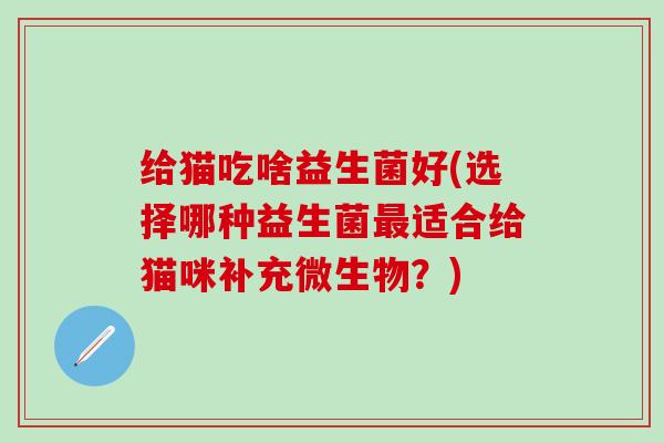 给猫吃啥益生菌好(选择哪种益生菌最适合给猫咪补充微生物？)
