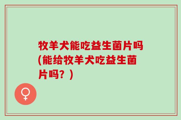 牧羊犬能吃益生菌片吗(能给牧羊犬吃益生菌片吗？)
