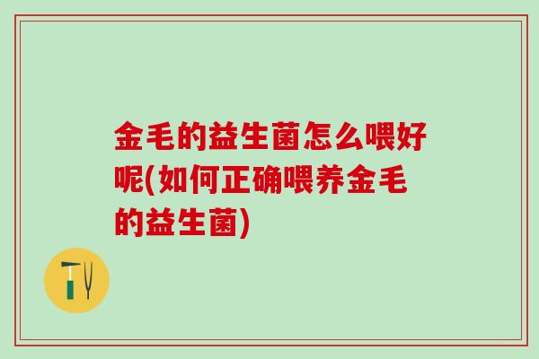 金毛的益生菌怎么喂好呢(如何正确喂养金毛的益生菌)