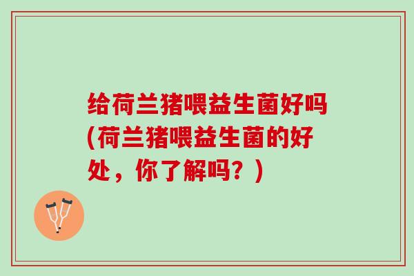 给荷兰猪喂益生菌好吗(荷兰猪喂益生菌的好处，你了解吗？)
