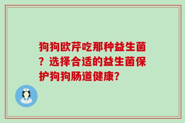狗狗欧芹吃那种益生菌?选择合适的益生菌保护狗狗肠道健康? 狗狗欧芹吃那种益生菌?选择合适的益生菌保护狗狗肠道健康?