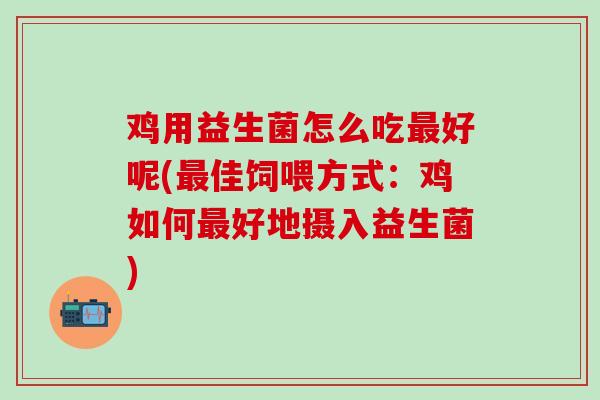 鸡用益生菌怎么吃最好呢(最佳饲喂方式：鸡如何最好地摄入益生菌)