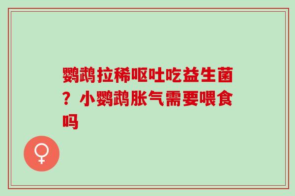 鹦鹉拉稀呕吐吃益生菌？小鹦鹉胀气需要喂食吗