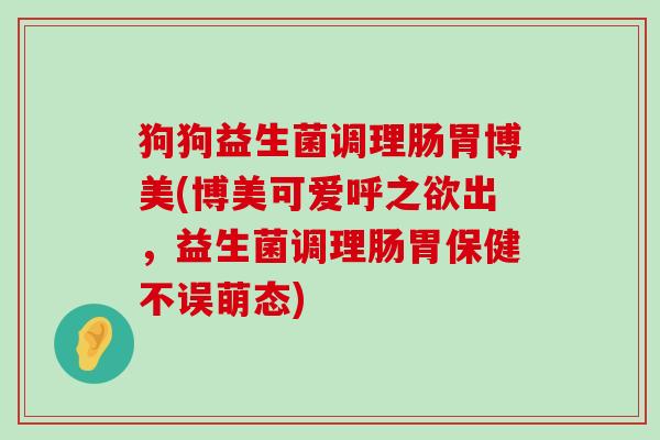 狗狗益生菌调理肠胃博美(博美可爱呼之欲出，益生菌调理肠胃保健不误萌态)
