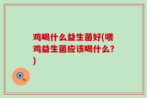 鸡喝什么益生菌好(喂鸡益生菌应该喝什么？)