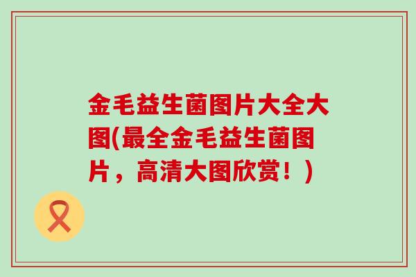 金毛益生菌图片大全大图(最全金毛益生菌图片，高清大图欣赏！)