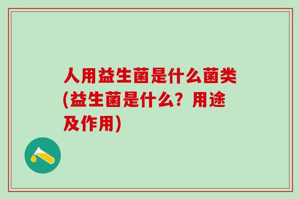 人用益生菌是什么菌类(益生菌是什么？用途及作用)