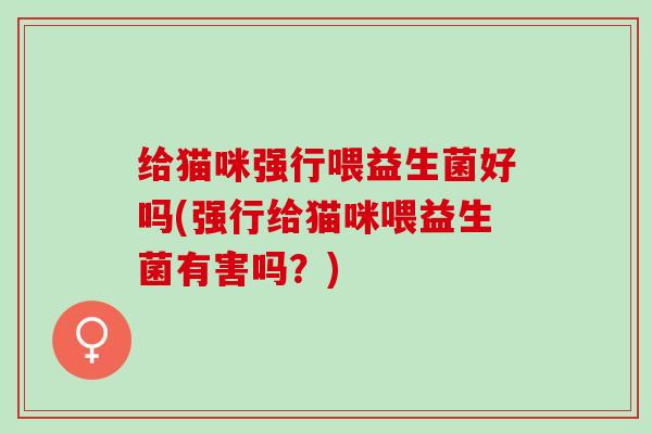 给猫咪强行喂益生菌好吗(强行给猫咪喂益生菌有害吗？)