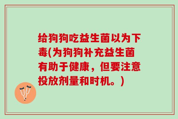给狗狗吃益生菌以为下毒(为狗狗补充益生菌有助于健康，但要注意投放剂量和时机。)