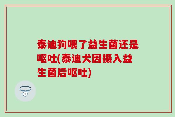 泰迪狗喂了益生菌还是(泰迪犬因摄入益生菌后) 泰迪狗喂了益生菌还是(泰迪犬因摄入益生菌后)