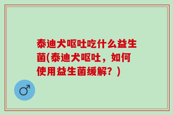 泰迪犬吃什么益生菌(泰迪犬，如何使用益生菌缓解？)