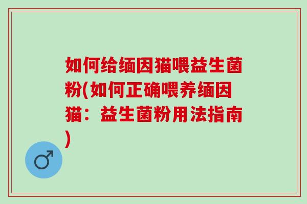 如何给缅因猫喂益生菌粉(如何正确喂养缅因猫：益生菌粉用法指南)