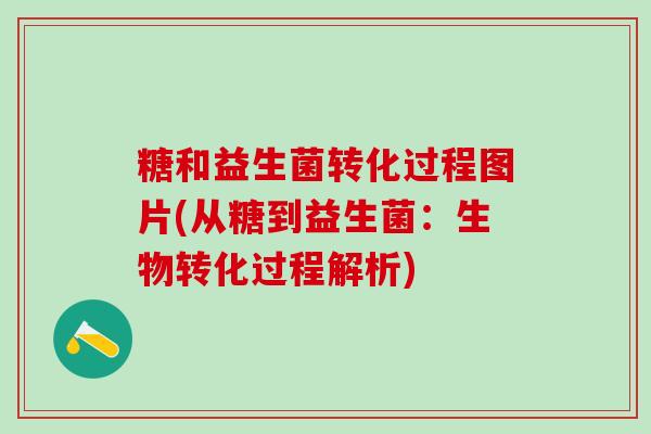 糖和益生菌转化过程图片(从糖到益生菌：生物转化过程解析)