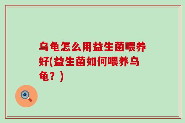 乌龟怎么用益生菌喂养好(益生菌如何喂养乌龟？)