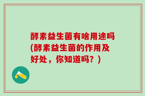 酵素益生菌有啥用途吗(酵素益生菌的作用及好处，你知道吗？)