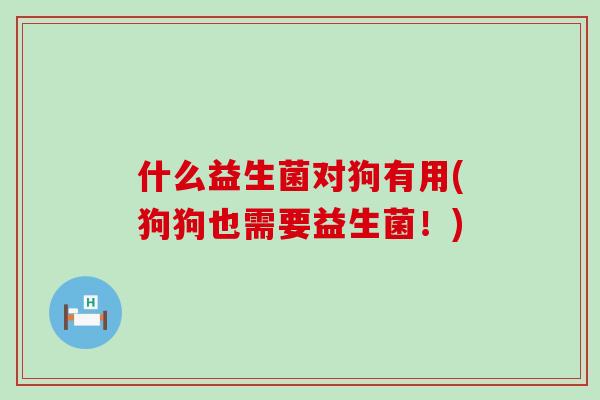 什么益生菌对狗有用(狗狗也需要益生菌！)