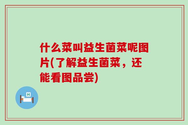 什么菜叫益生菌菜呢图片(了解益生菌菜，还能看图品尝)
