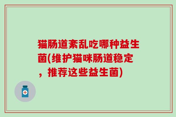 猫肠道紊乱吃哪种益生菌(维护猫咪肠道稳定,推荐这些益生菌) 猫肠道紊乱吃哪种益生菌(维护猫咪肠道稳定,推荐这些益生菌)