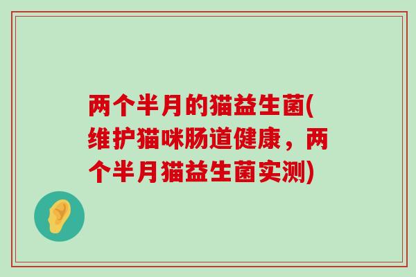 两个半月的猫益生菌(维护猫咪肠道健康，两个半月猫益生菌实测)