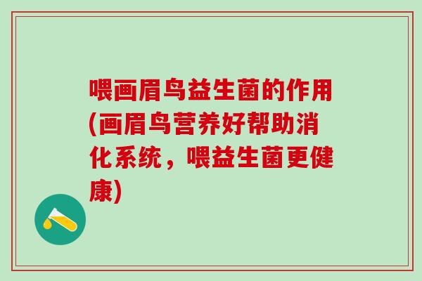 喂画眉鸟益生菌的作用(画眉鸟营养好帮助消化系统，喂益生菌更健康)