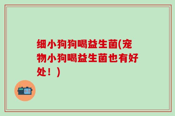 细小狗狗喝益生菌(宠物小狗喝益生菌也有好处！)