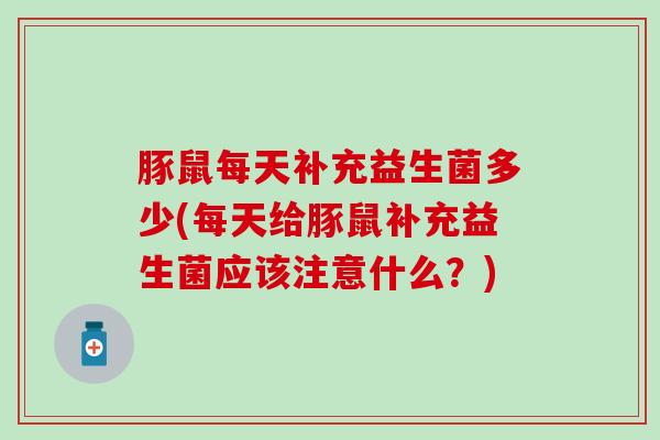 豚鼠每天补充益生菌多少(每天给豚鼠补充益生菌应该注意什么？)