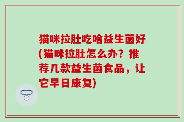 猫咪拉肚吃啥益生菌好(猫咪拉肚怎么办？推荐几款益生菌食品，让它早日康复)
