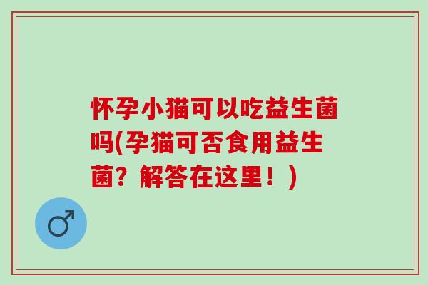 怀孕小猫可以吃益生菌吗(孕猫可否食用益生菌?解答在这里!) 怀孕小猫可以吃益生菌吗(孕猫可否食用益生菌?解答在这里!)