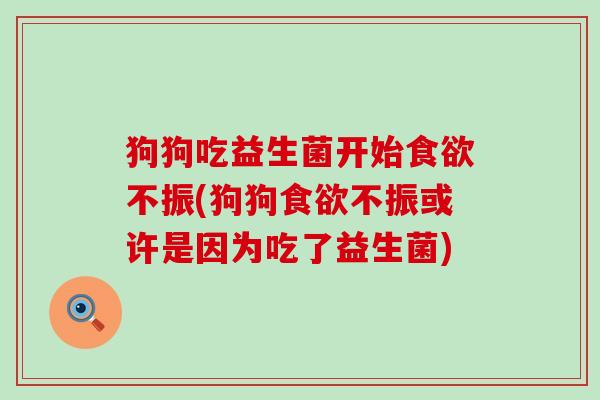狗狗吃益生菌开始食欲不振(狗狗食欲不振或许是因为吃了益生菌)