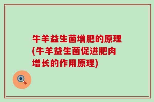 牛羊益生菌增肥的原理(牛羊益生菌促进肥肉增长的作用原理)