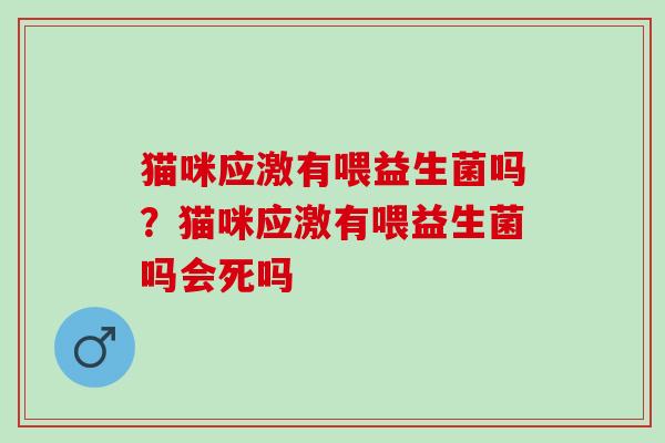 猫咪应激有喂益生菌吗？猫咪应激有喂益生菌吗会死吗