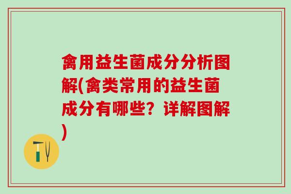 禽用益生菌成分分析图解(禽类常用的益生菌成分有哪些？详解图解)