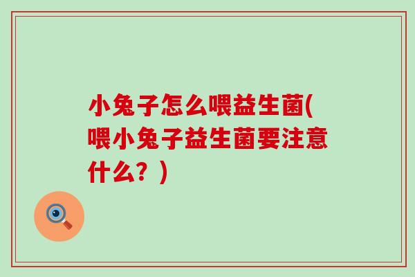 小兔子怎么喂益生菌(喂小兔子益生菌要注意什么？)