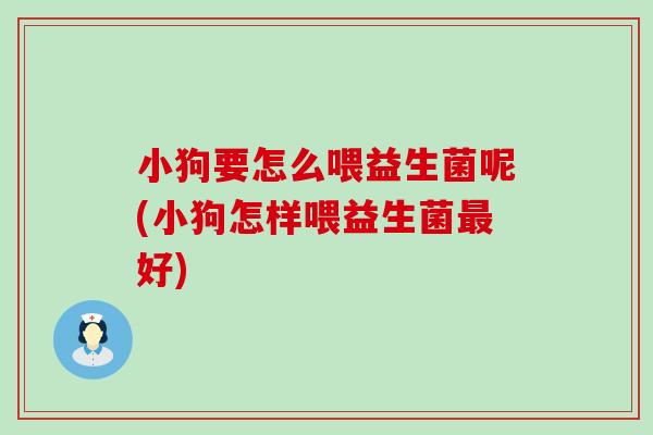 小狗要怎么喂益生菌呢(小狗怎样喂益生菌最好)