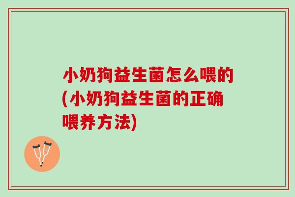 小奶狗益生菌怎么喂的(小奶狗益生菌的正确喂养方法)