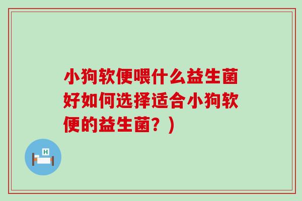 小狗软便喂什么益生菌好如何选择适合小狗软便的益生菌？)