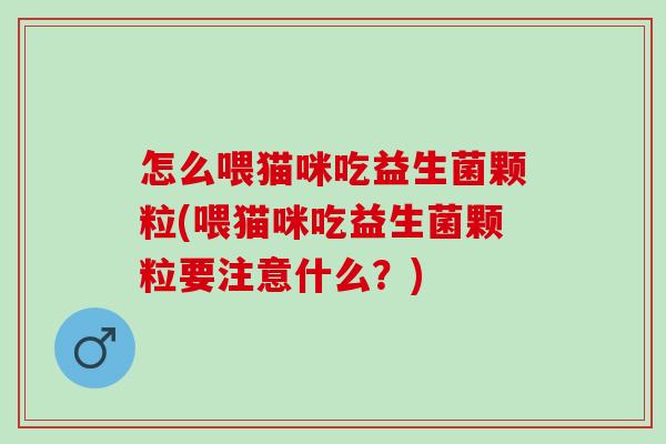 怎么喂猫咪吃益生菌颗粒(喂猫咪吃益生菌颗粒要注意什么？)