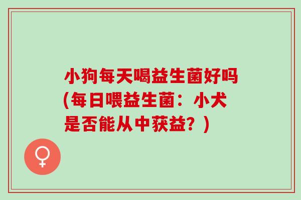 小狗每天喝益生菌好吗(每日喂益生菌：小犬是否能从中获益？)