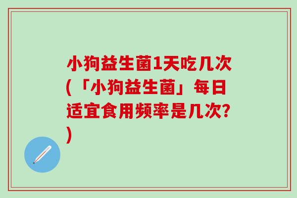 小狗益生菌1天吃几次(「小狗益生菌」每日适宜食用频率是几次？)