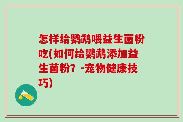 怎样给鹦鹉喂益生菌粉吃(如何给鹦鹉添加益生菌粉？-宠物健康技巧)