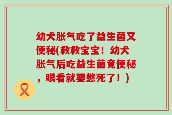 幼犬胀气吃了益生菌又便秘(救救宝宝！幼犬胀气后吃益生菌竟便秘，眼看就要憋死了！)