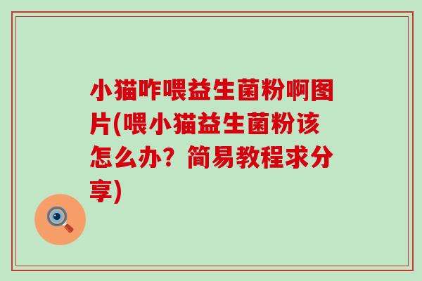 小猫咋喂益生菌粉啊图片(喂小猫益生菌粉该怎么办？简易教程求分享)
