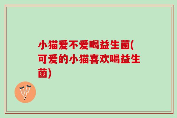 小猫爱不爱喝益生菌(可爱的小猫喜欢喝益生菌)