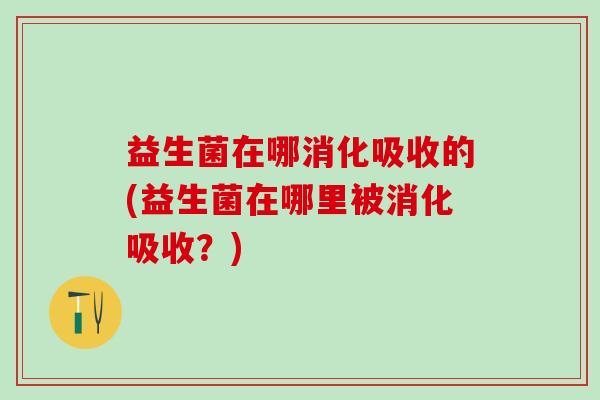 益生菌在哪消化吸收的(益生菌在哪里被消化吸收?) 益生菌在哪消化吸收的(益生菌在哪里被消化吸收?)