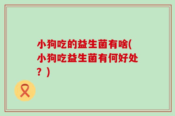 小狗吃的益生菌有啥(小狗吃益生菌有何好处？)