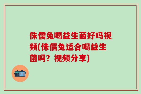 侏儒兔喝益生菌好吗视频(侏儒兔适合喝益生菌吗？视频分享)