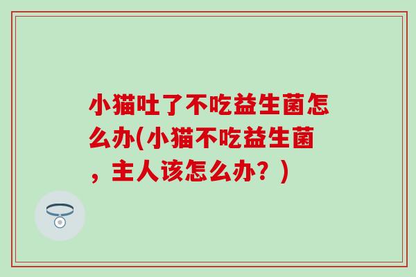 小猫吐了不吃益生菌怎么办(小猫不吃益生菌，主人该怎么办？)