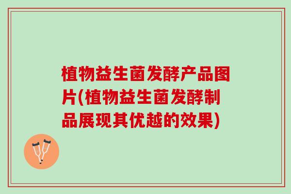 植物益生菌发酵产品图片(植物益生菌发酵制品展现其优越的效果)